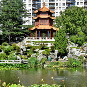 Clear View Pavilion at Chinese Gardens of Friendship in Sydney, Australia - Encircle Photos