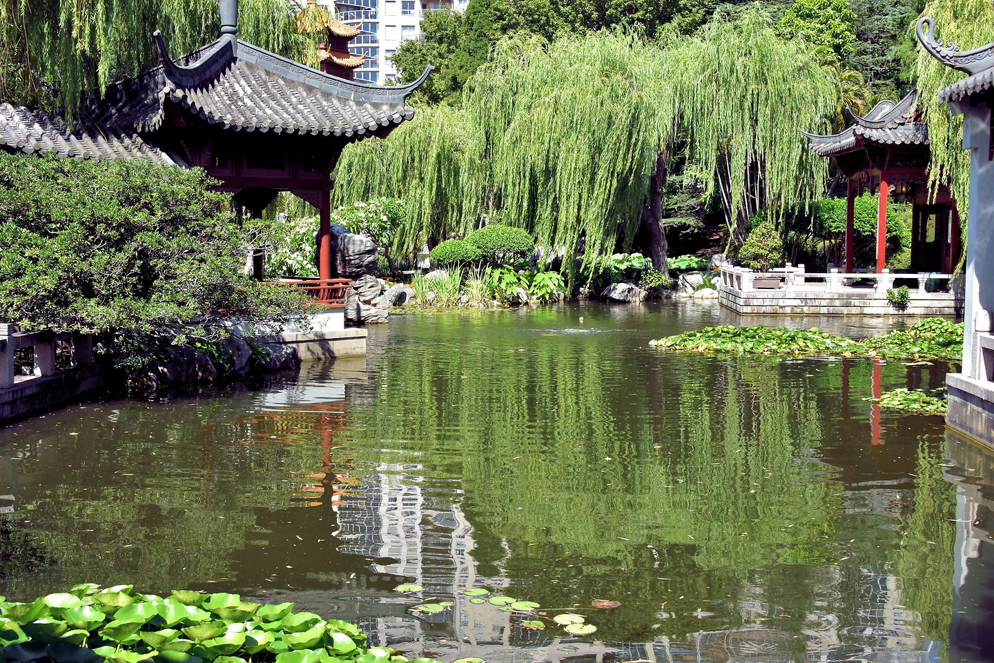 Pavilions at Chinese Gardens of Friendship in Sydney, Australia - Encircle Photos