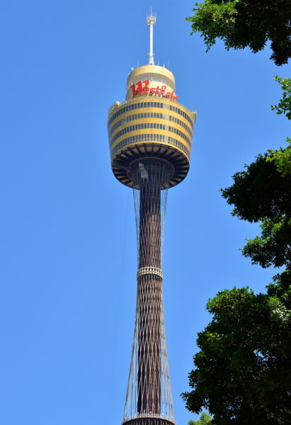 Sydney Tower Eye in Sydney, Australia - Encircle Photos