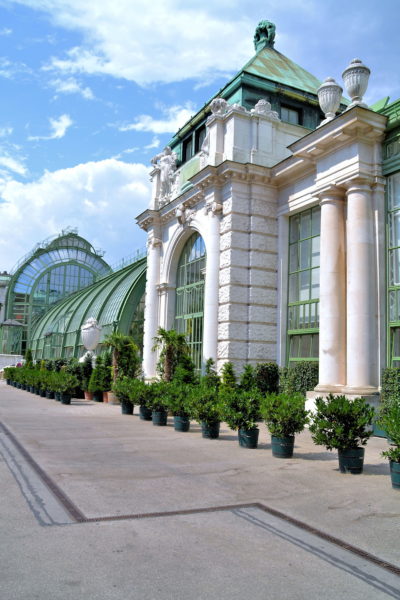 Palm House in Burggarten at Hofburg in Vienna, Austria - Encircle Photos