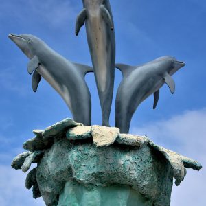 UNEXSO Dolphin Swim in Freeport, Bahamas - Encircle Photos