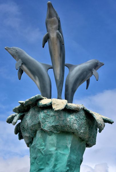 UNEXSO Dolphin Swim in Freeport, Bahamas - Encircle Photos