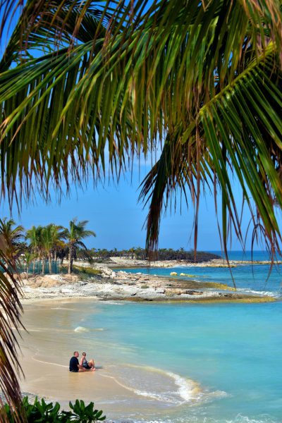 Couple Under Atlantic Coconut Palms at Great Stirrup Cay, Bahamas - Encircle Photos
