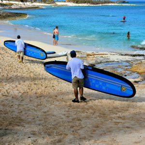 Crew Carrying Paddleboards at Great Stirrup Cay, Bahamas - Encircle Photos