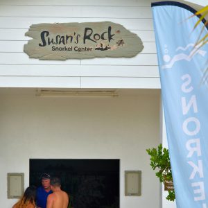 Susan’s Rock Snorkel Center at Great Stirrup Cay, Bahamas - Encircle Photos