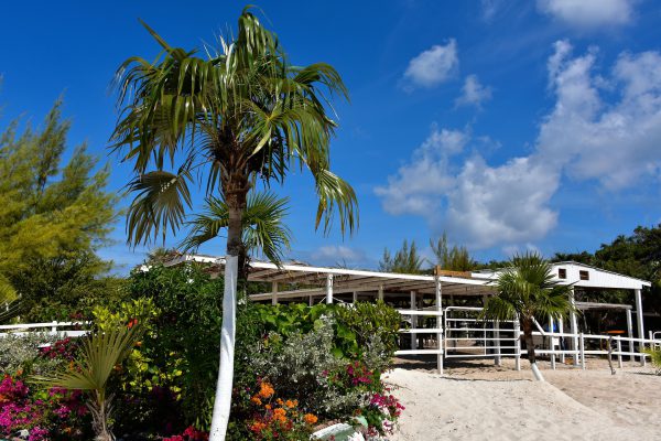 Horse Stable at Pegasus Ranch on Half Moon Cay, The Bahamas - Encircle Photos
