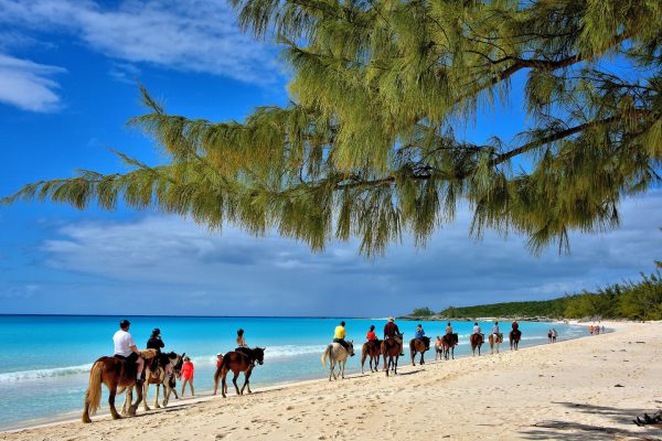 Horseback Riding on Beach near Pegasus Ranch on Half Moon Cay, The Bahamas - Encircle Photos