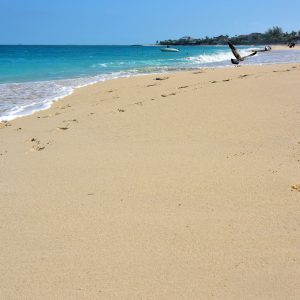 Cabbage Beach in Nassau, Bahamas - Encircle Photos