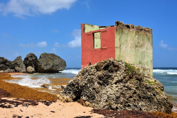 Abandoned Cement Shack on Bathsheba Beach in Bathsheba, Barbados - Encircle Photos