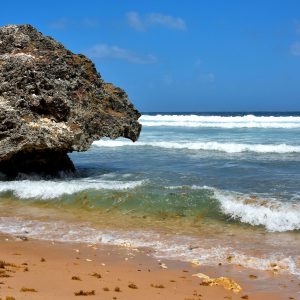Mushroom Shaped Rock on Bathsheba Beach in Bathsheba, Barbados - Encircle Photos