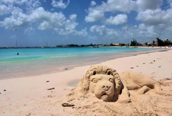 Lion Sand Sculpture at Brownes Beach in Bridgetown, Barbados - Encircle Photos