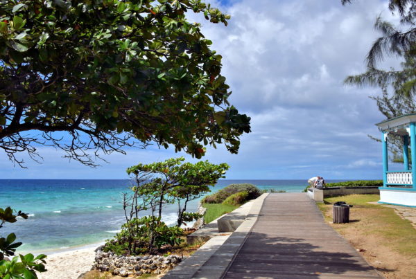 South Coast Starting in Hastings, Barbados - Encircle Photos
