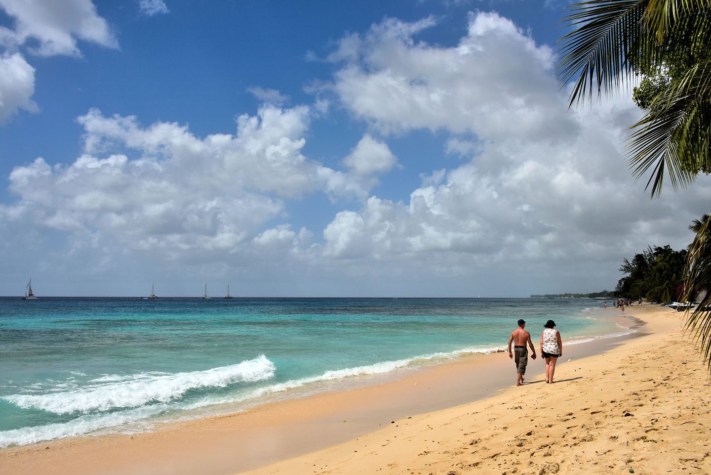 Best Beaches in the Caribbean: 25 Stunning Shores You’ll Want to Bookmark 17 Couple Strolling at Paynes Bay Beach in Saint James Parish, Barbados - Encircle Photos