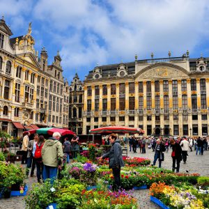 Flower Market and Guildhalls at Grand Place in Brussels, Belgium - Encircle Photos