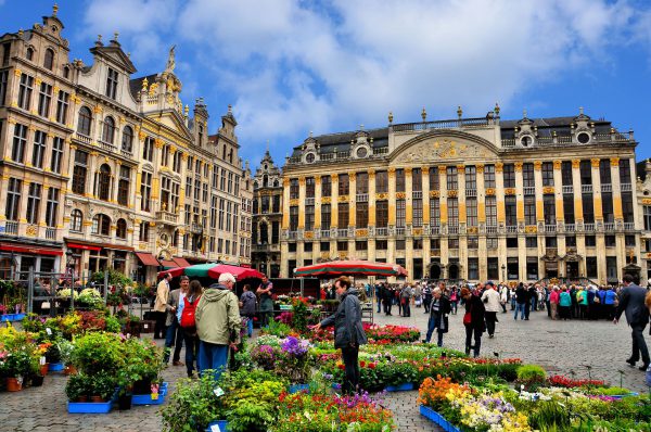 Flower Market and Guildhalls at Grand Place in Brussels, Belgium - Encircle Photos
