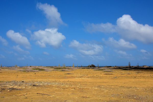 Barren Landscape North of Kralendijk, Bonaire - Encircle Photos