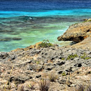 Formation of Coastline North of Kralendijk, Bonaire - Encircle Photos