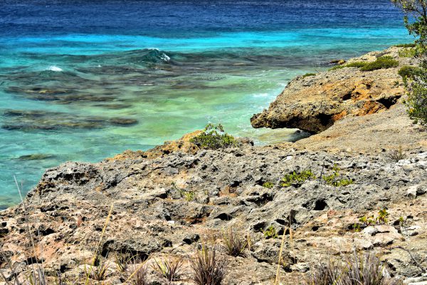 Formation of Coastline North of Kralendijk, Bonaire - Encircle Photos