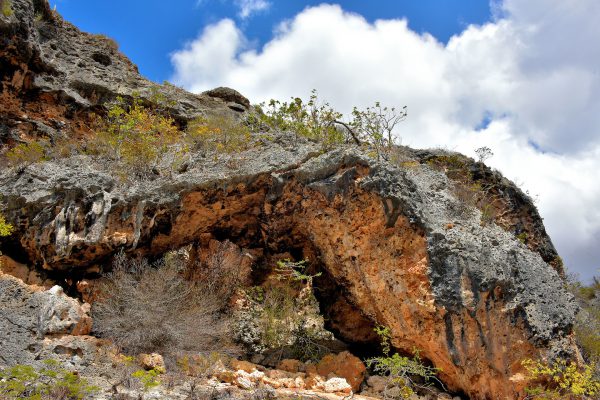 Devil’s Mouth North of Kralendijk, Bonaire - Encircle Photos