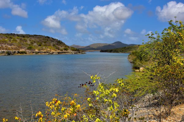 Lake Gotomeer North of Kralendijk, Bonaire - Encircle Photos