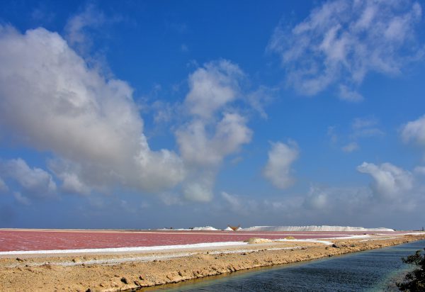 Salt Flats South of Kralendijk, Bonaire - Encircle Photos