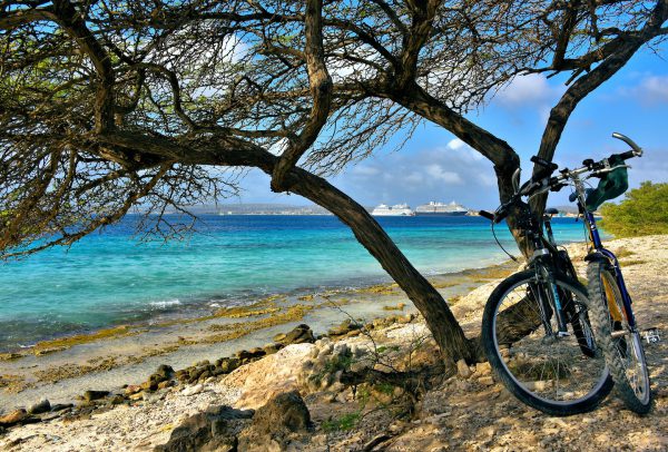 Savor the Undeveloped Beauty South of Kralendijk, Bonaire - Encircle Photos