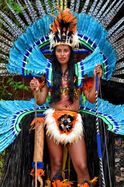 Elaborate Native Costume in Boca da Valeria, Brazil - Encircle Photos