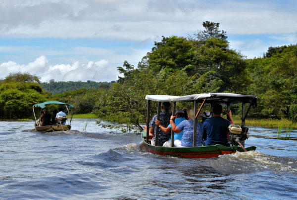River Tour in Boca da Valeria, Brazil - Encircle Photos