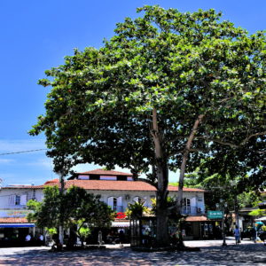 Santos Dumont Square in Búzios, Brazil - Encircle Photos