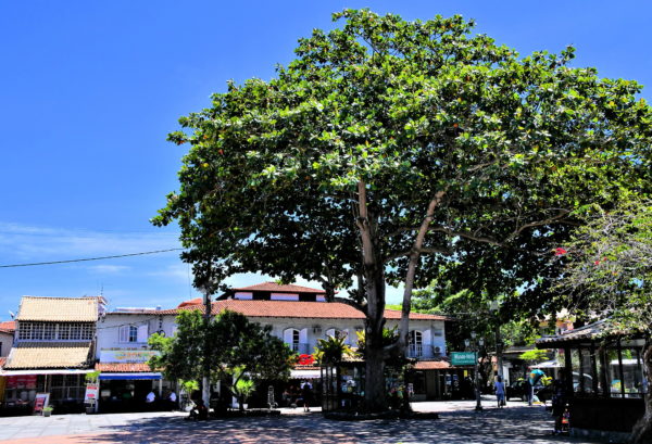 Santos Dumont Square in Búzios, Brazil - Encircle Photos