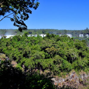 Subtropical Rainforest at Iguaçu Falls in Foz do Iguaçu, Brazil - Encircle Photos