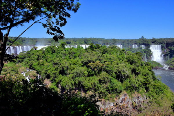 Subtropical Rainforest at Iguaçu Falls in Foz do Iguaçu, Brazil - Encircle Photos