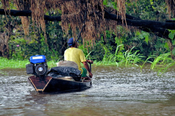 Man Paddling Canoe in Amazon Rainforest, Manaus, Brazil - Encircle Photos