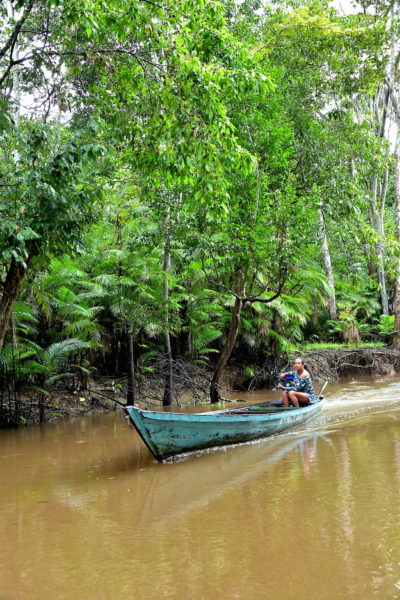 Woman in Rowboat in Amazon Rainforest, Manaus, Brazil - Encircle Photos