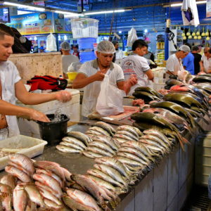 Fish Market at Feira da Manaus Moderna in Manaus, Brazil - Encircle Photos