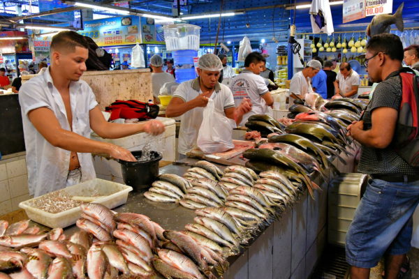 Fish Market at Feira da Manaus Moderna in Manaus, Brazil - Encircle Photos