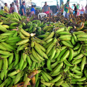 Manaus Banana Market in Manaus, Brazil - Encircle Photos
