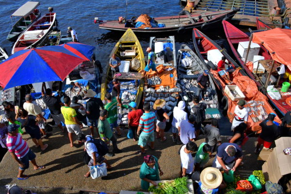 Waterfront Fish Market in Manaus, Brazil - Encircle Photos