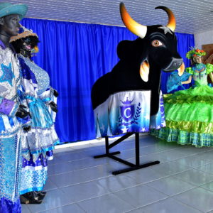 Costume Displays at Curral Zeca Xibelão in Parintins, Brazil - Encircle Photos