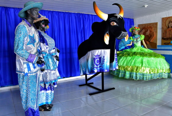 Costume Displays at Curral Zeca Xibelão in Parintins, Brazil - Encircle Photos