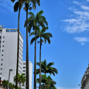 Avenida Ana Costa in Santos, Brazil - Encircle Photos