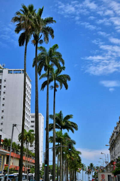 Avenida Ana Costa in Santos, Brazil - Encircle Photos