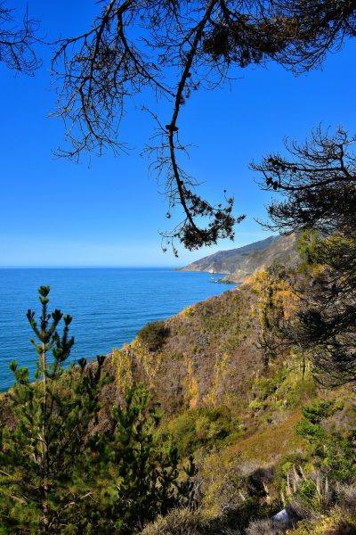 Los Padres National Forest along Big Sur Coast, California - Encircle Photos