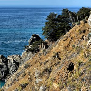 Overlook at Julia Pfeiffer Burns State Park on Big Sur Coast, California - Encircle Photos