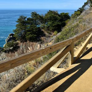 Overlook Trail at Julia Pfeiffer Burns State Park on Big Sur Coast, California - Encircle Photos