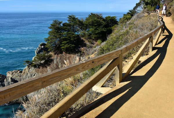 Overlook Trail at Julia Pfeiffer Burns State Park on Big Sur Coast, California - Encircle Photos