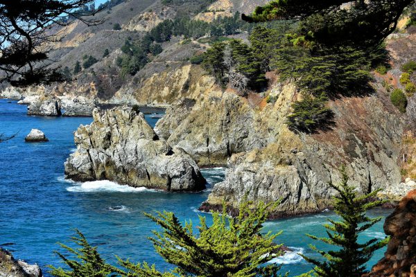 Trees along Cliff at Julia Pfeiffer Burns State Park on Big Sur Coast, California - Encircle Photos