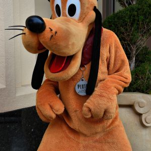 Pluto Greeting on Buena Vista Street at California Adventure in Anaheim, California - Encircle Photos