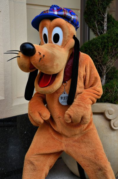 Pluto Greeting on Buena Vista Street at California Adventure in Anaheim, California - Encircle Photos