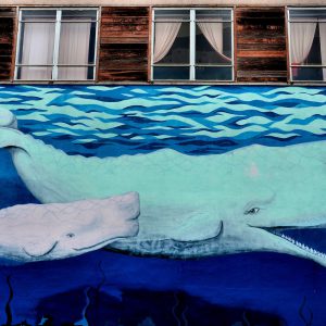 Mama Whale Mural in Eureka, California - Encircle Photos